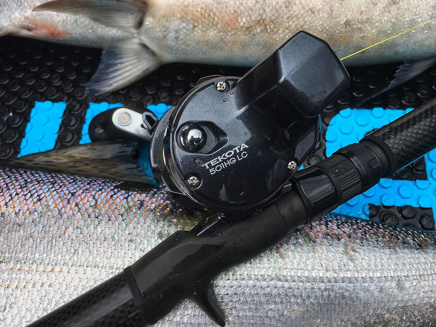 BRAND, CATEGORY, REELS, SHIMANO, SHIMANO TEKOTA 600 LINE Counter A TEKOTA